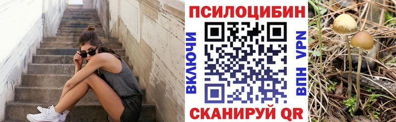 что такое   Медногорск  Псилоцибиновые грибы ЛСД 